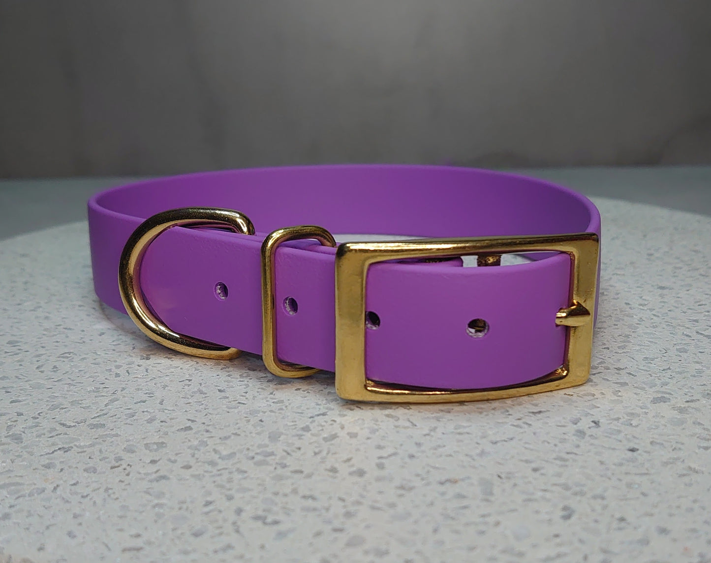 Biothane dog collar made in Ireland