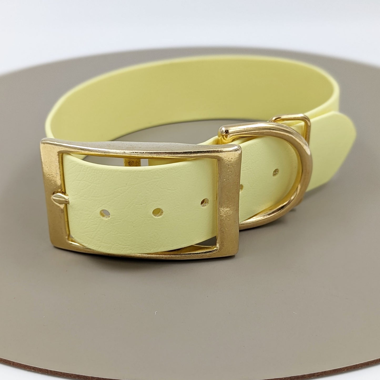 Biothane dog collar made in Ireland