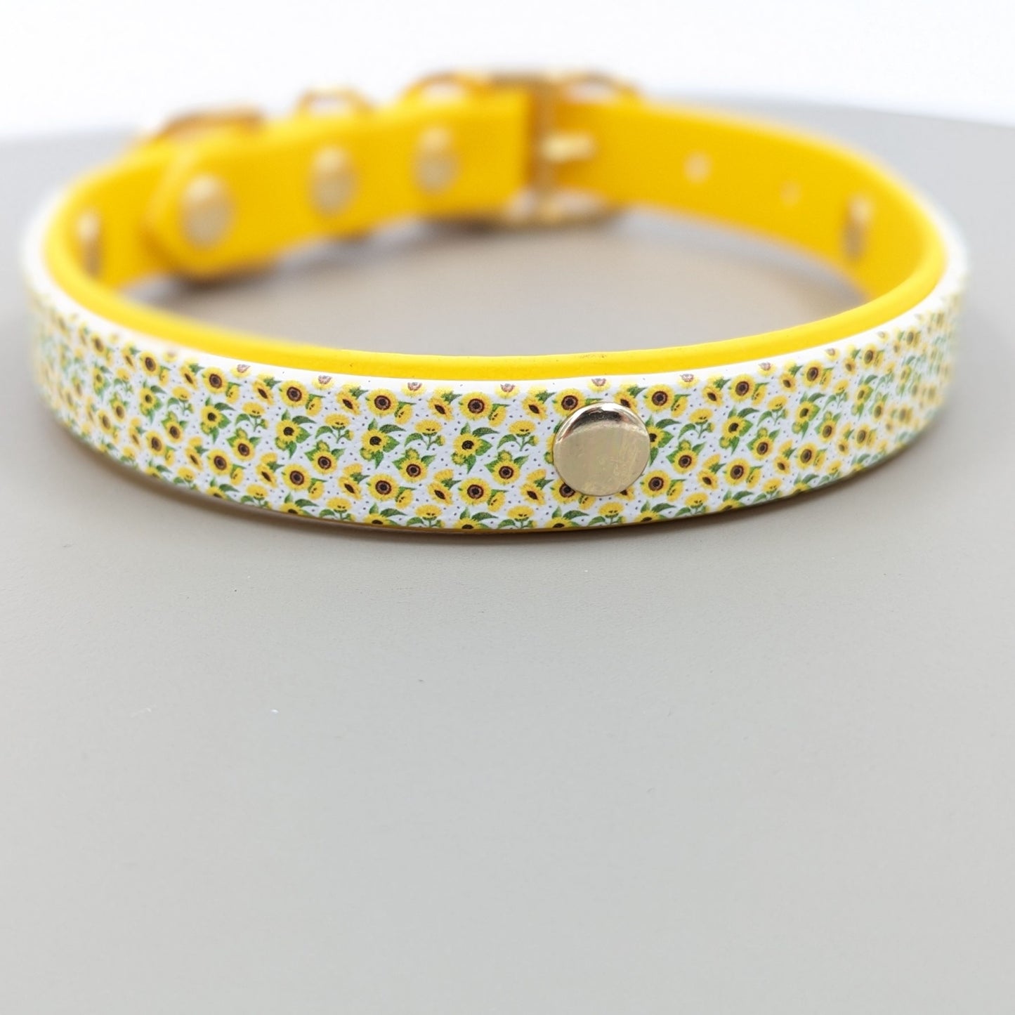 Biothane dog collar made in Ireland