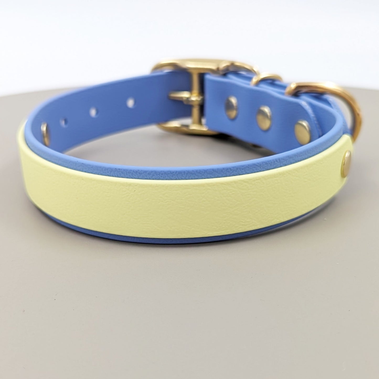 Biothane dog collar made in Ireland
