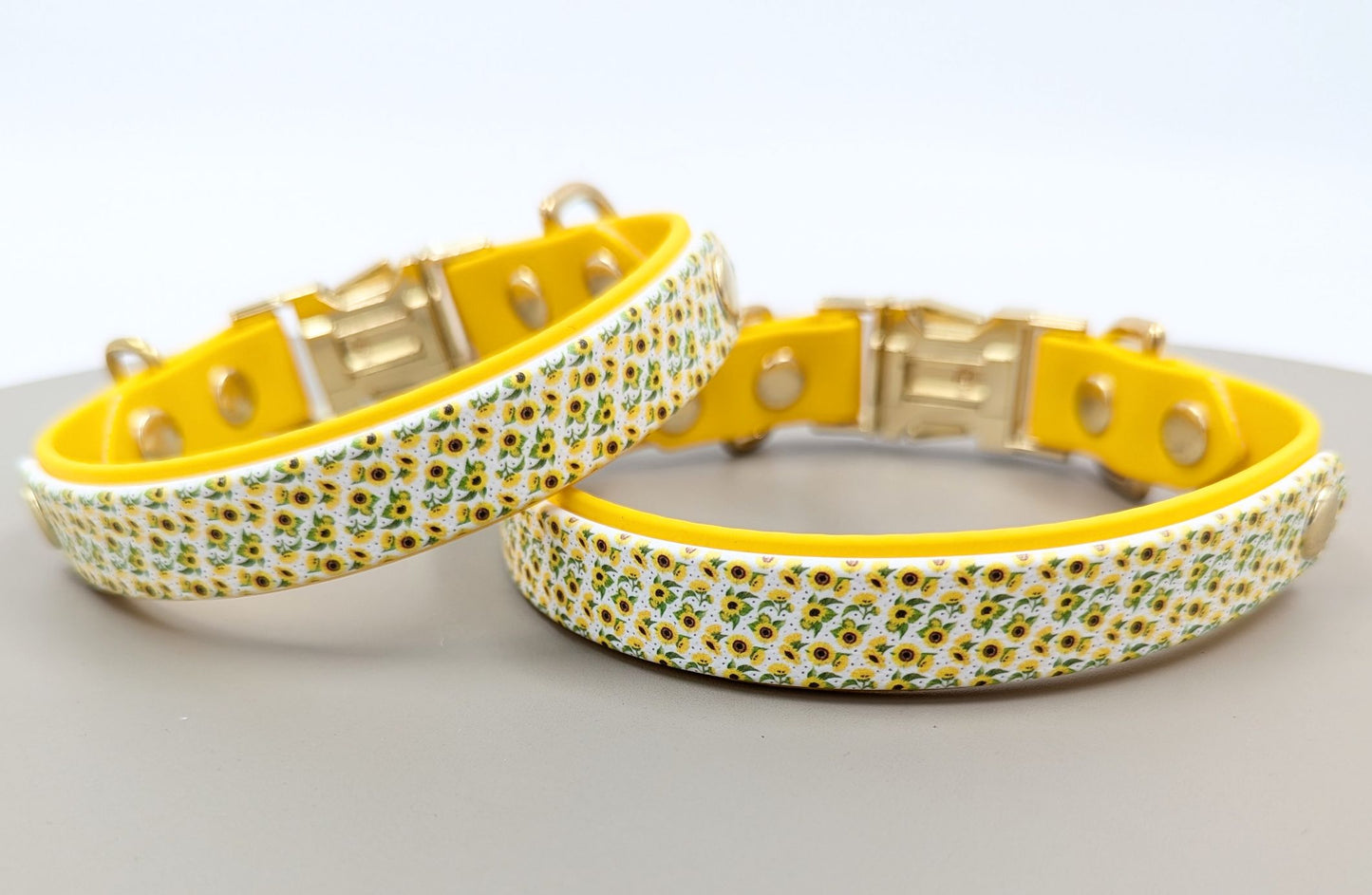 Biothane dog collar made in Ireland