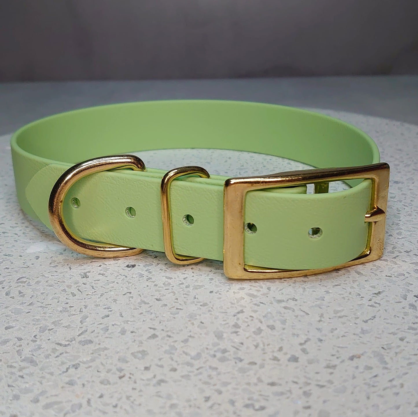 Biothane dog collar made in Ireland