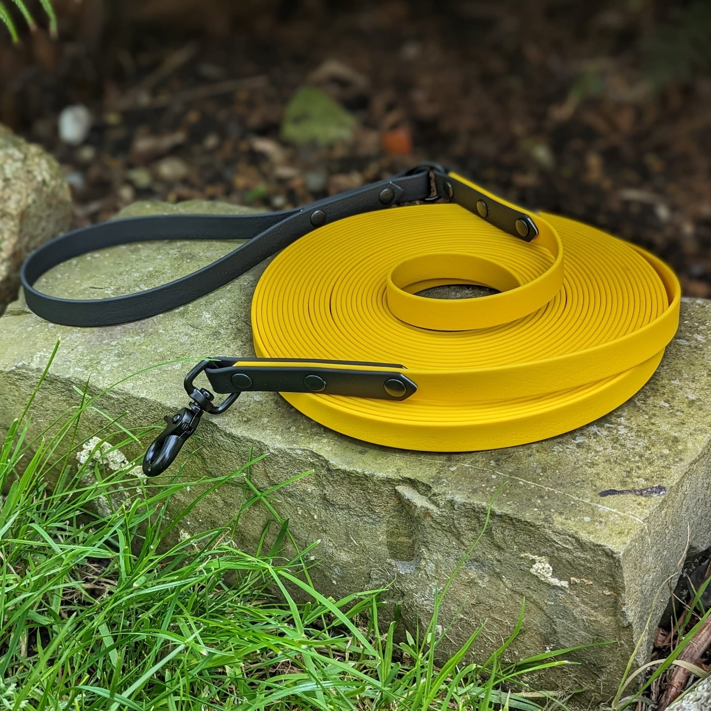 a waterproof long line for dogs giving them extra space and freedom to roam, handmade in Ireland, made for dogs, design your own