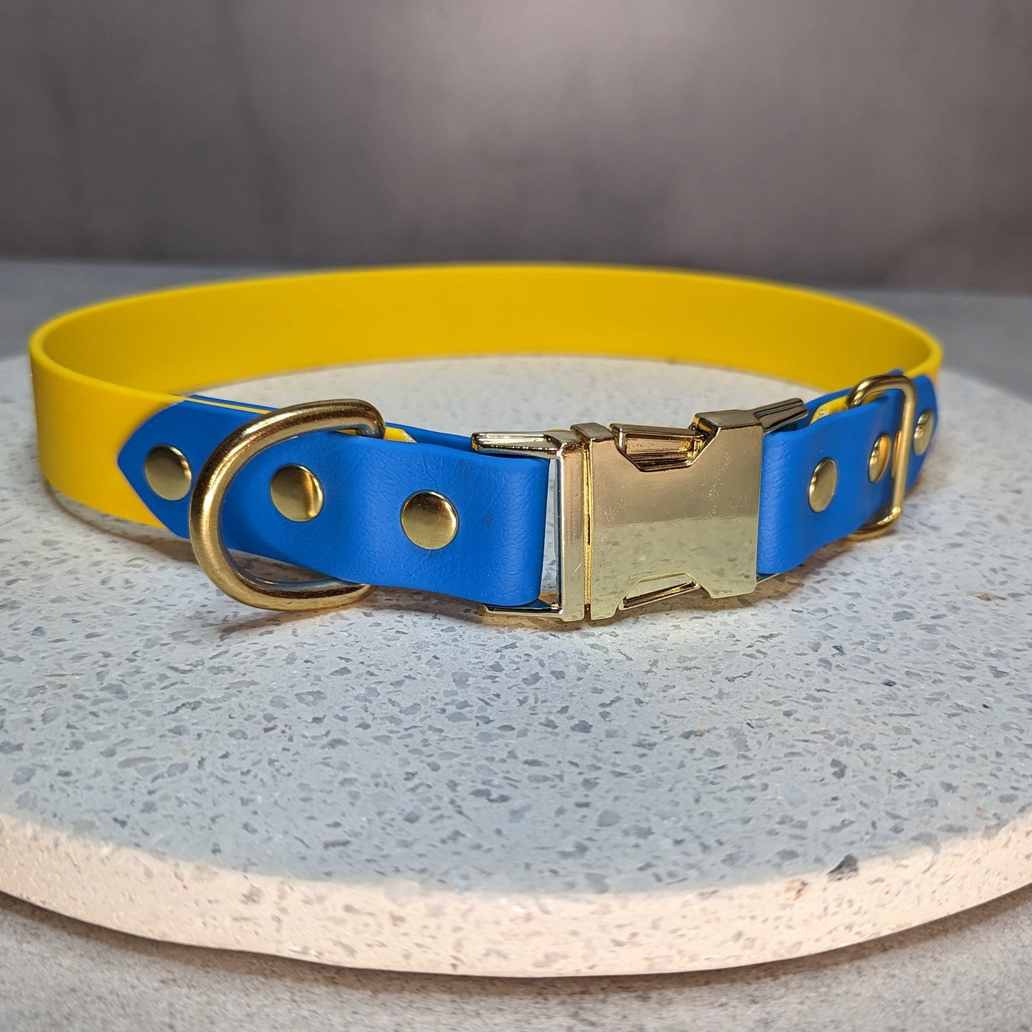 Biothane dog collar made in Ireland