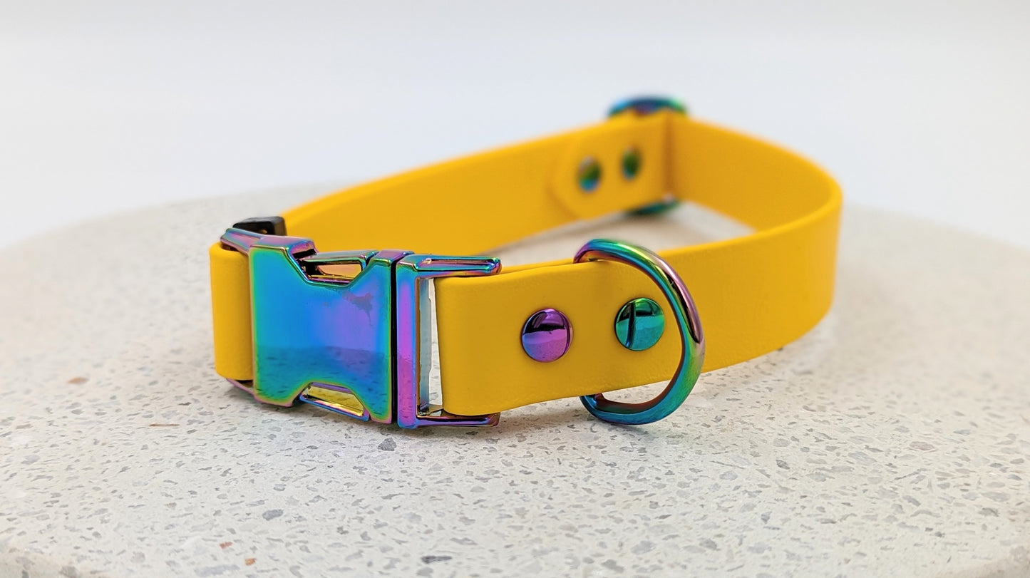 Biothane dog collar made in Ireland