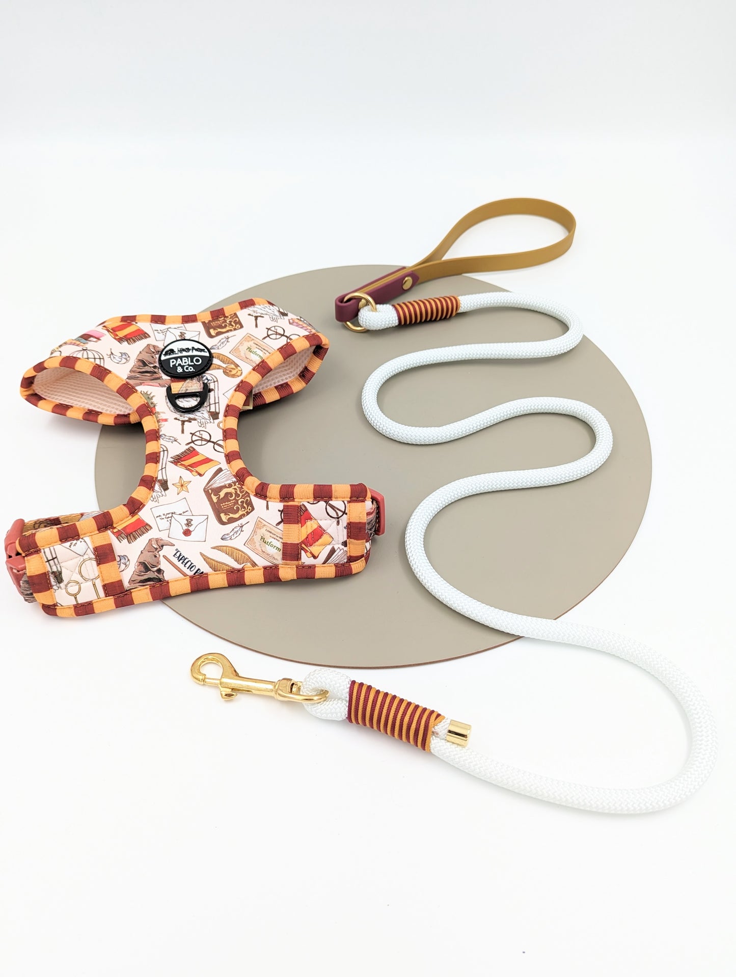Harry Potter harness