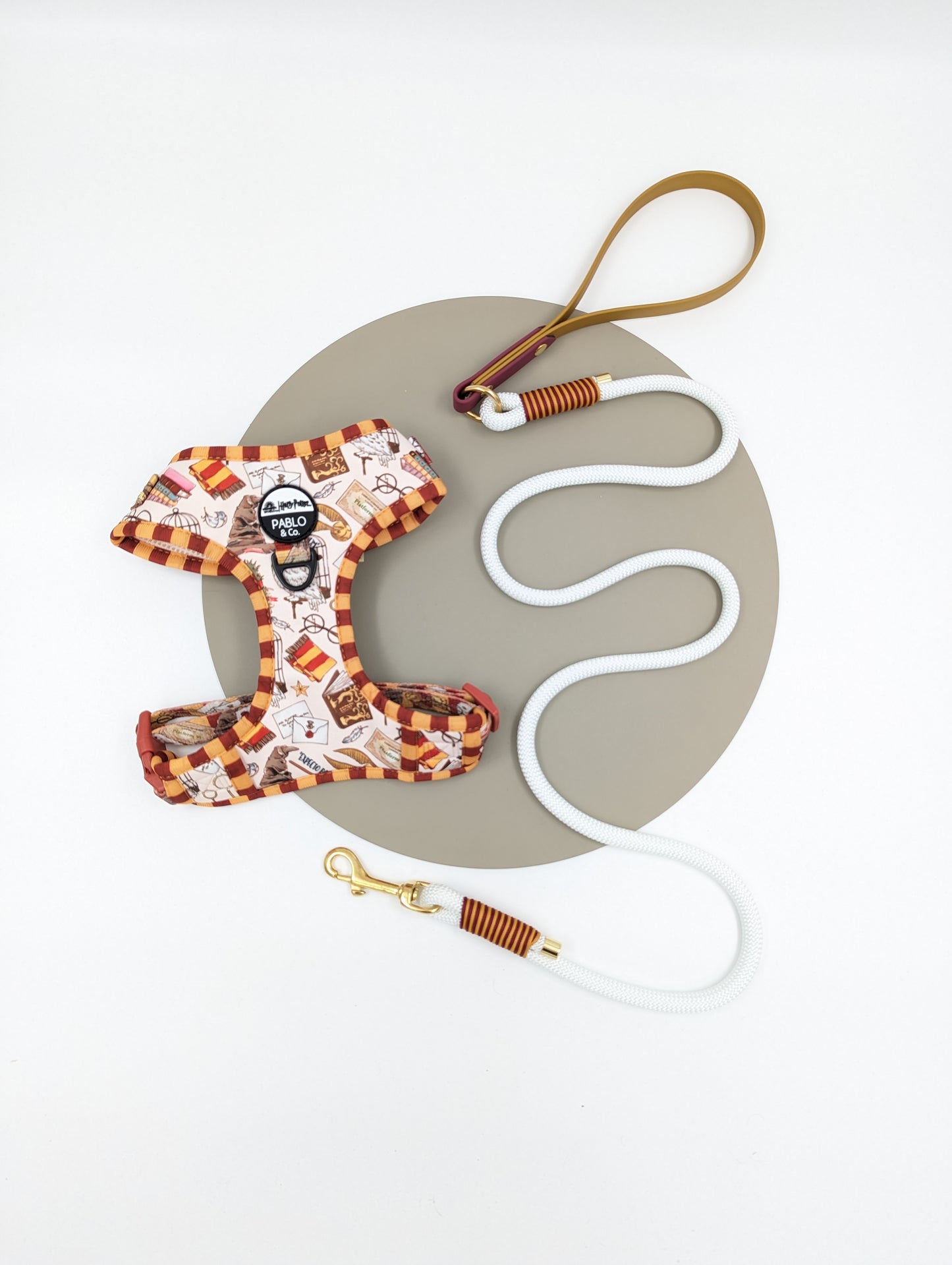 Harry Potter harness