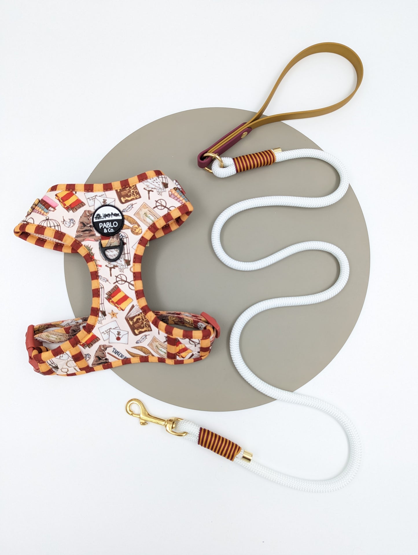 Harry Potter harness