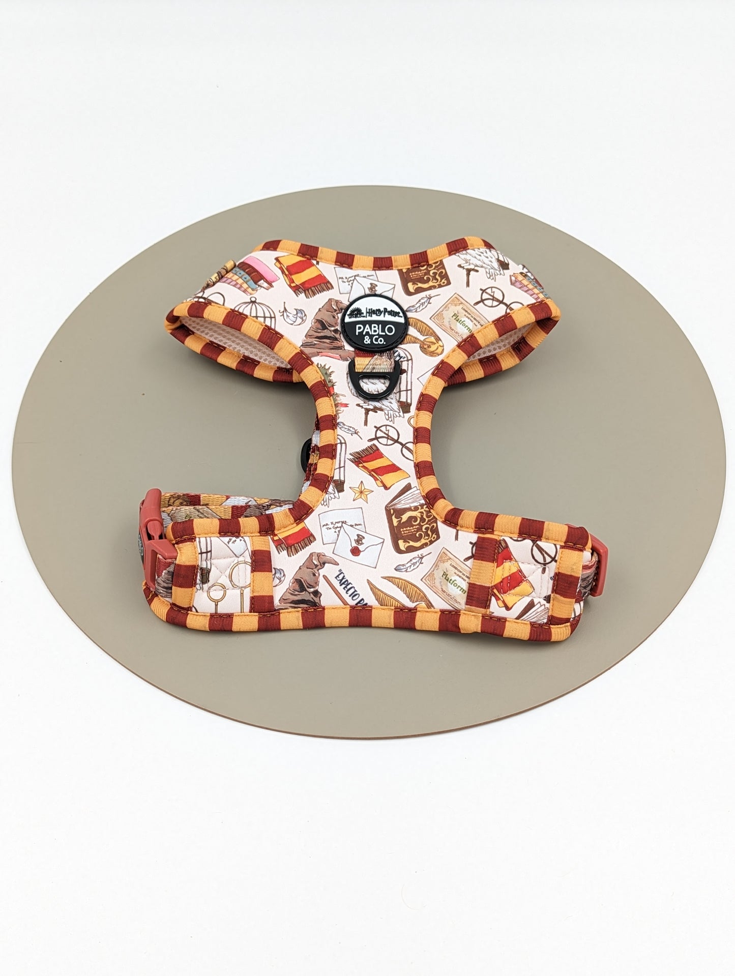 Harry Potter harness