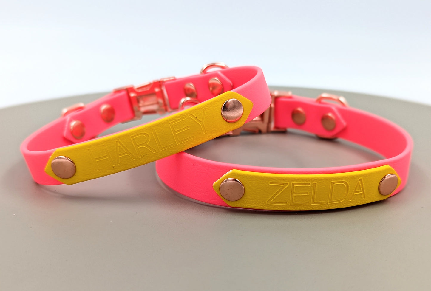 A heat stamped biothane personalized plate for dog collars and leads