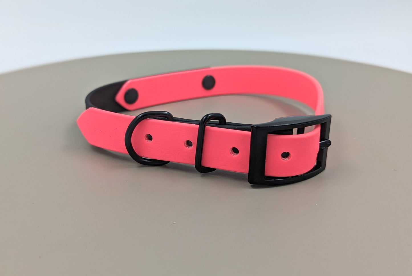 Biothane dog collar made in Ireland