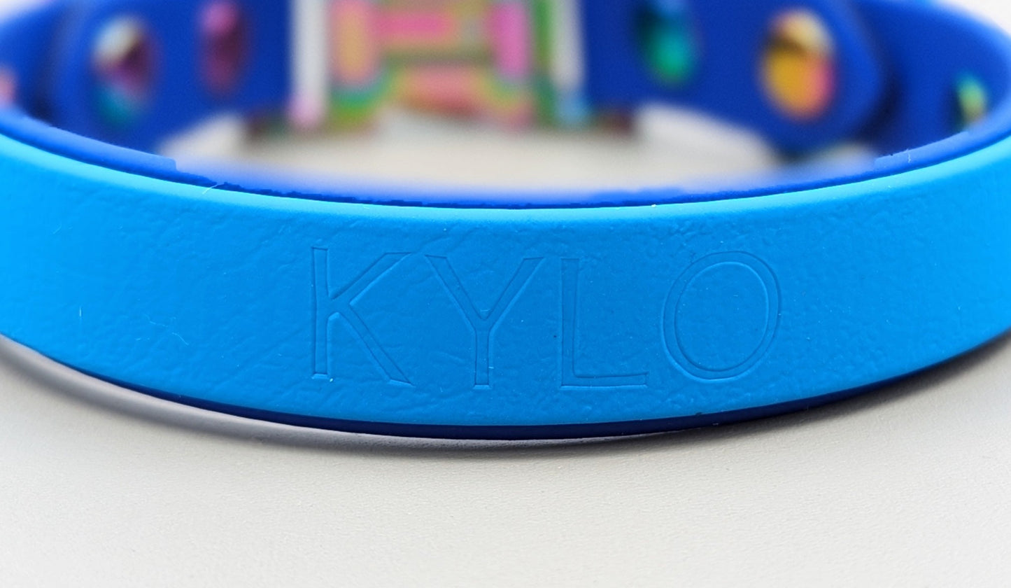 A heat stamped biothane personalized plate for dog collars and leads
