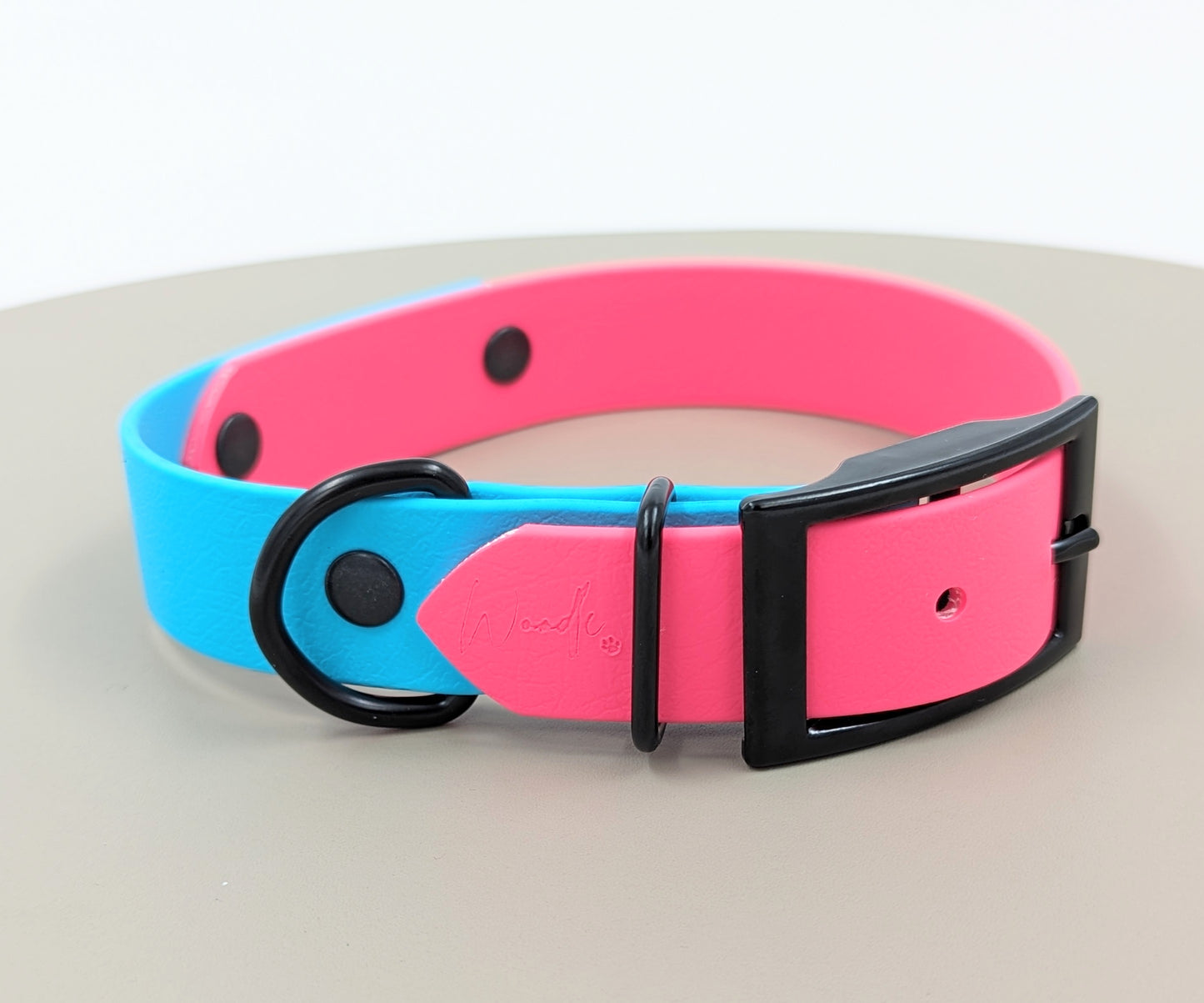 Biothane dog collar made in Ireland
