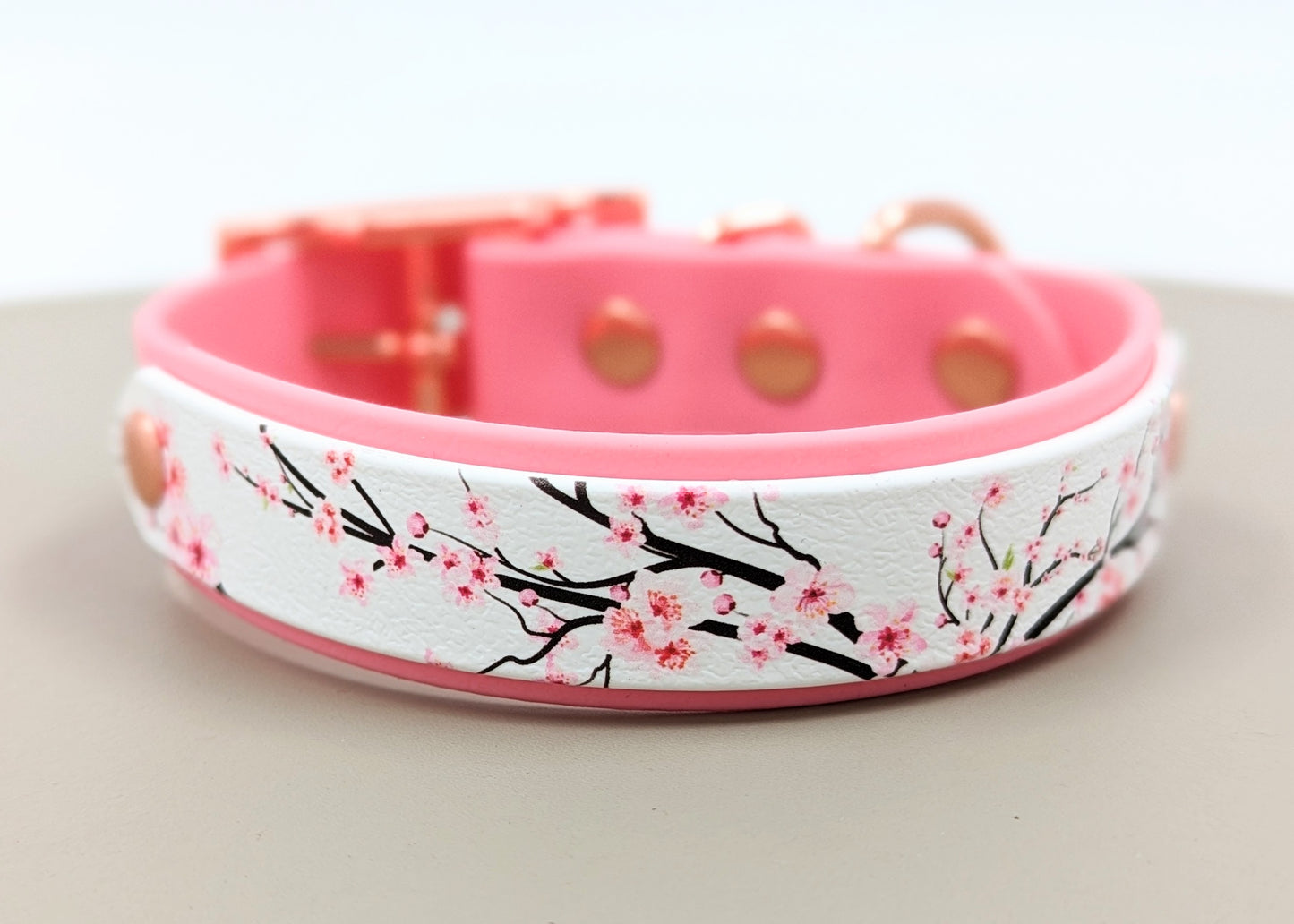 Biothane dog collar made in Ireland