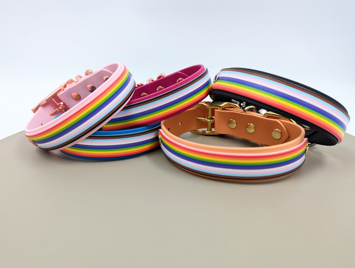 Biothane dog collar made in Ireland