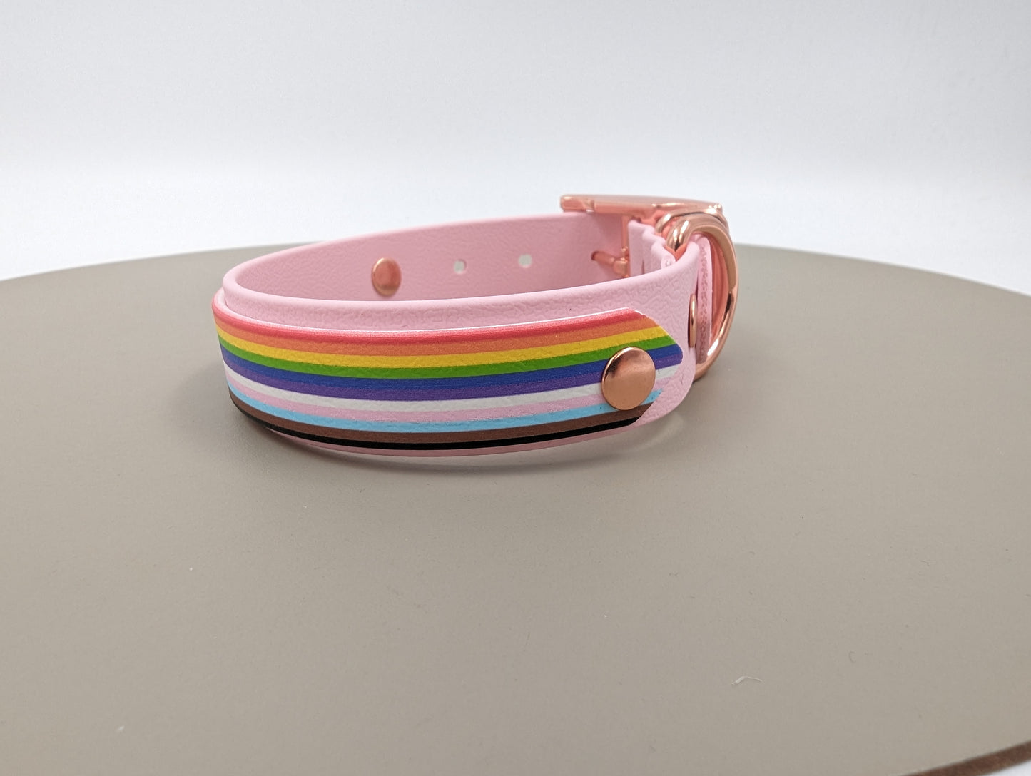 Biothane dog collar made in Ireland