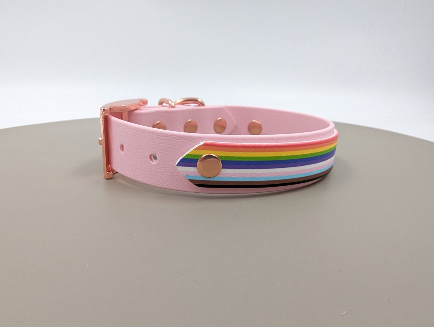 Biothane dog collar made in Ireland