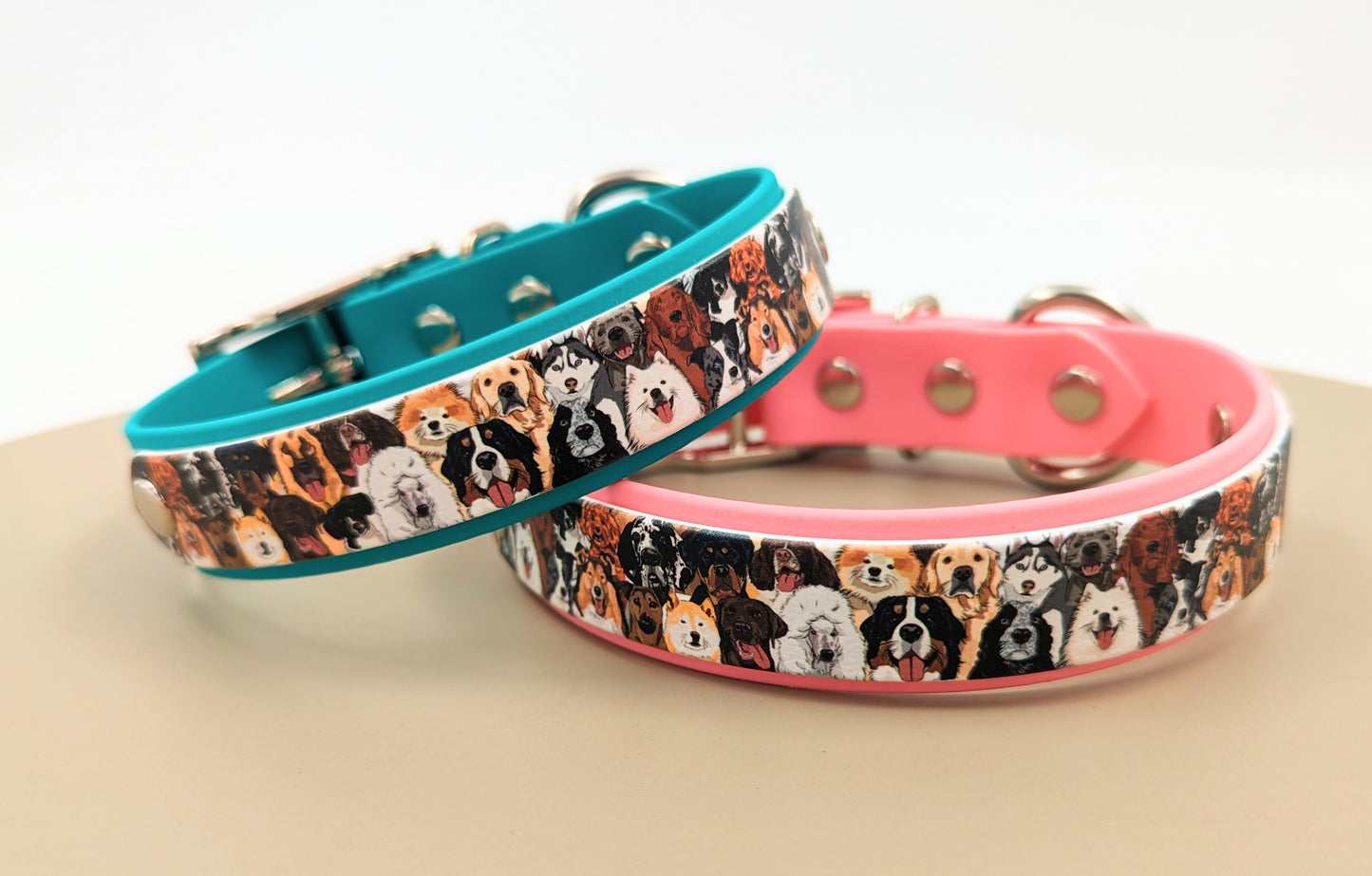 Biothane dog collar made in Ireland