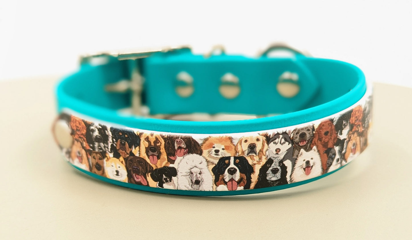 Biothane dog collar made in Ireland