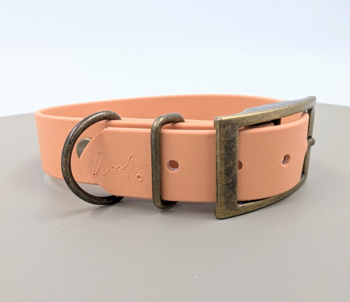 Biothane dog collar made in Ireland