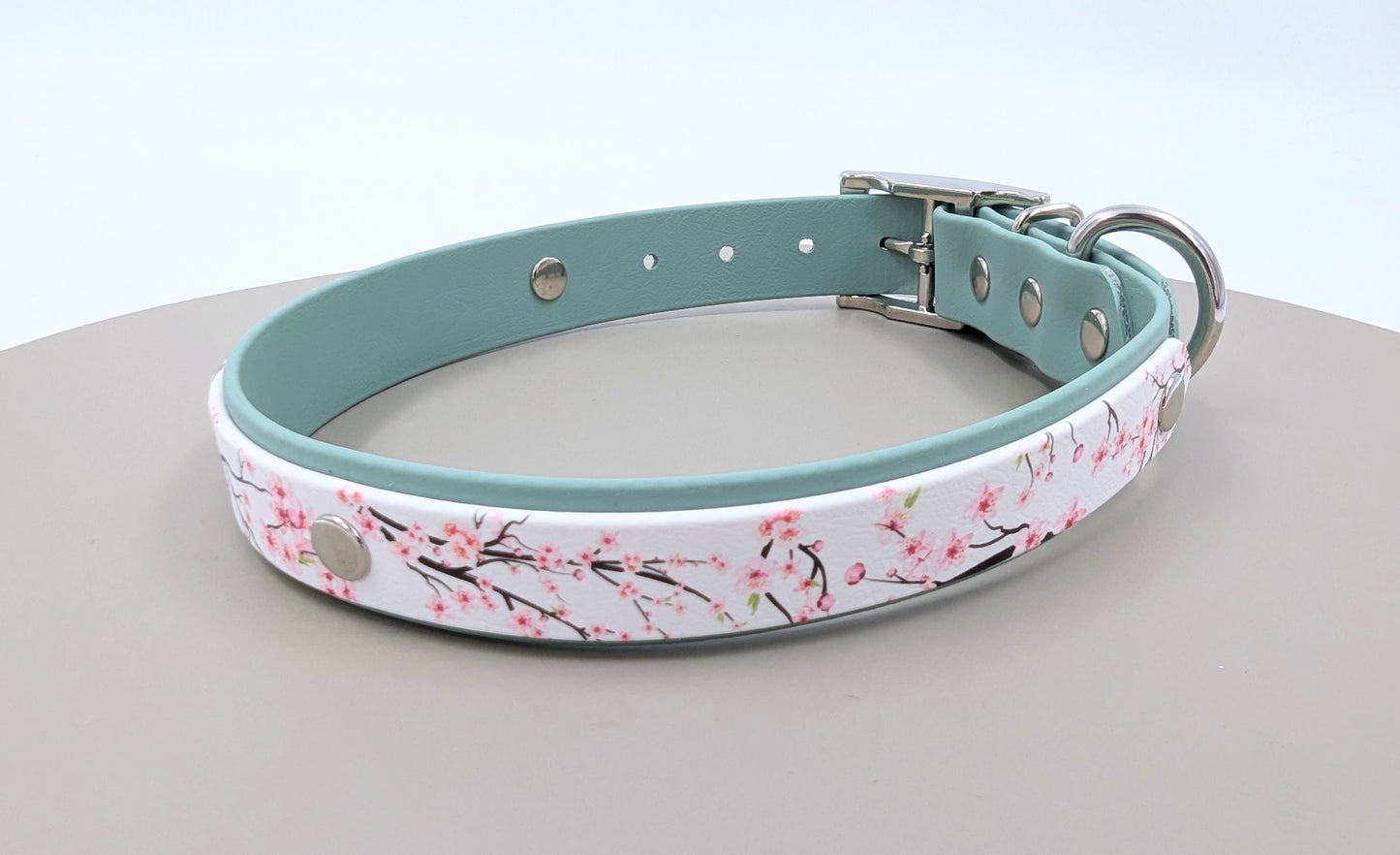 Biothane dog collar made in Ireland