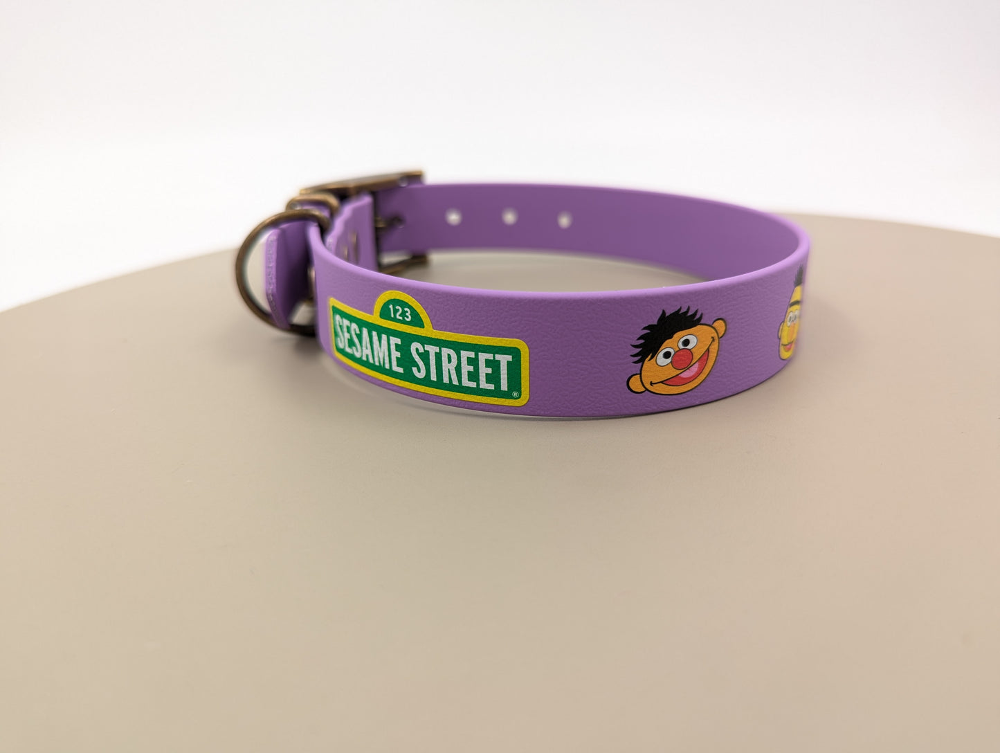 Bert & Ernie - UV printed BioThane Collar