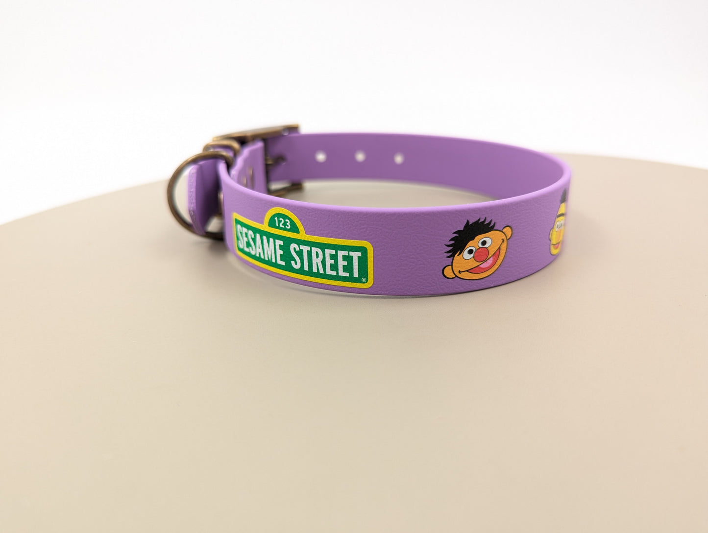 Bert & Ernie - UV printed BioThane Collar