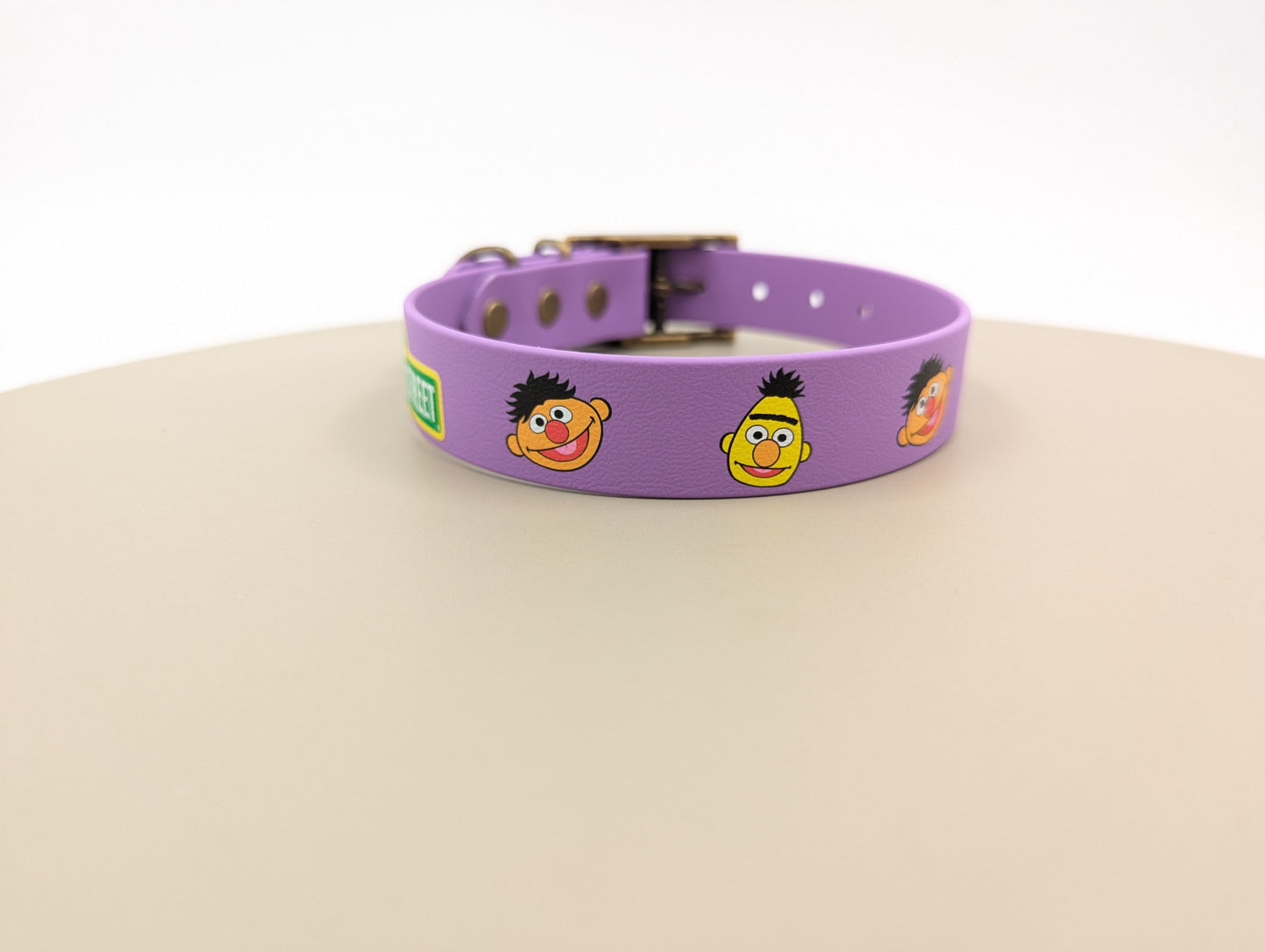 Bert & Ernie - UV printed BioThane Collar