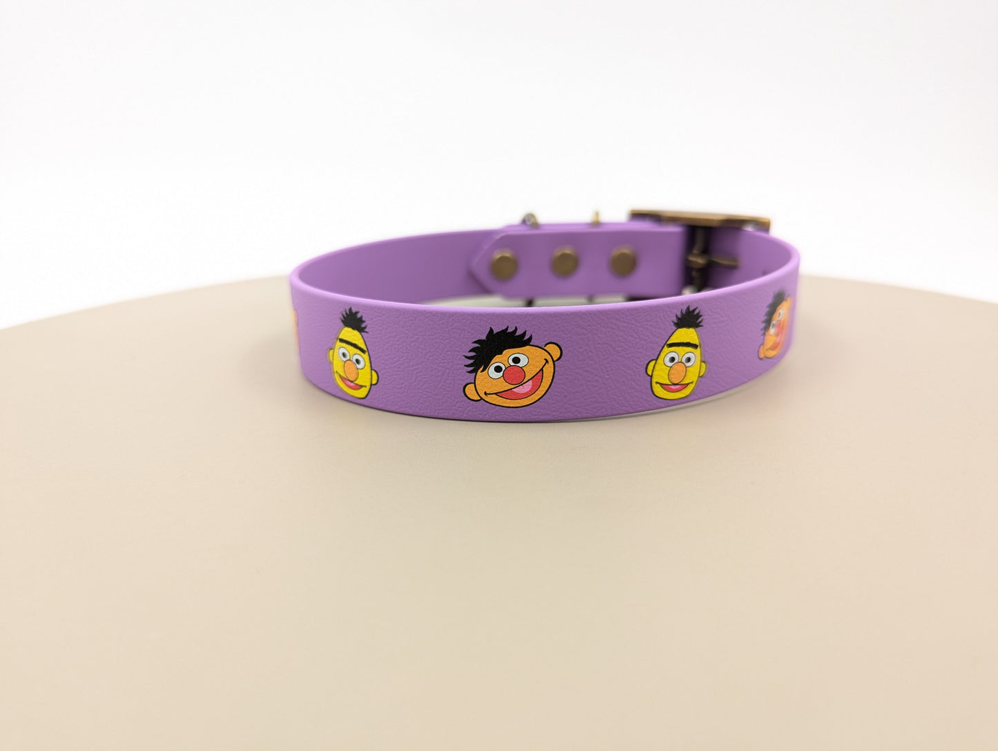 Bert & Ernie - UV printed BioThane Collar