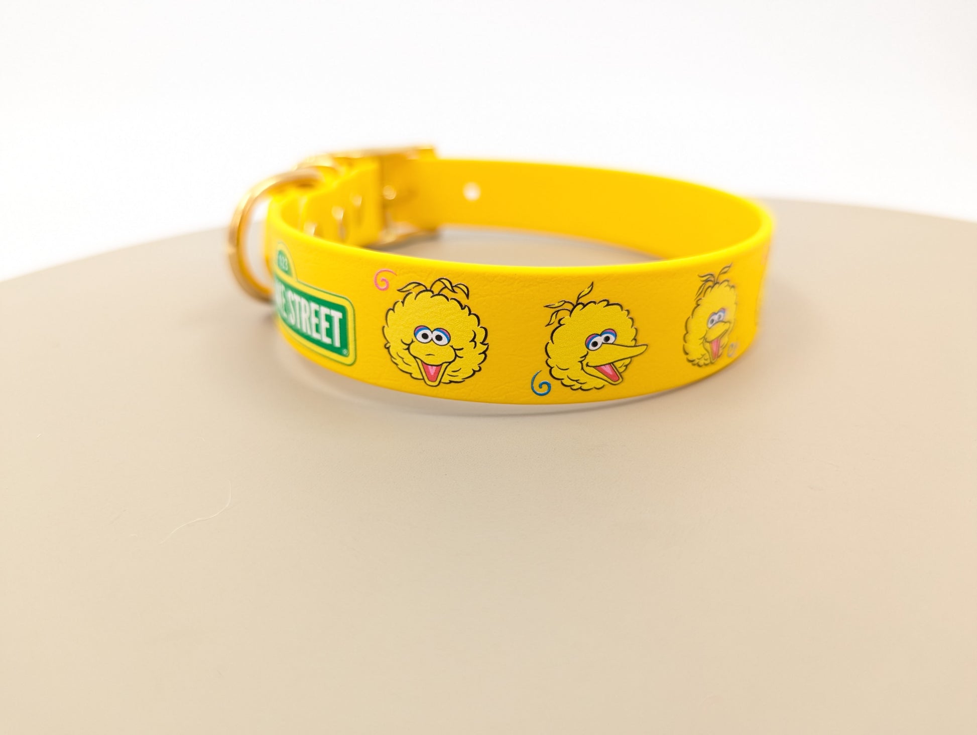 A UV printed biothane dog collar sesame Street big bird