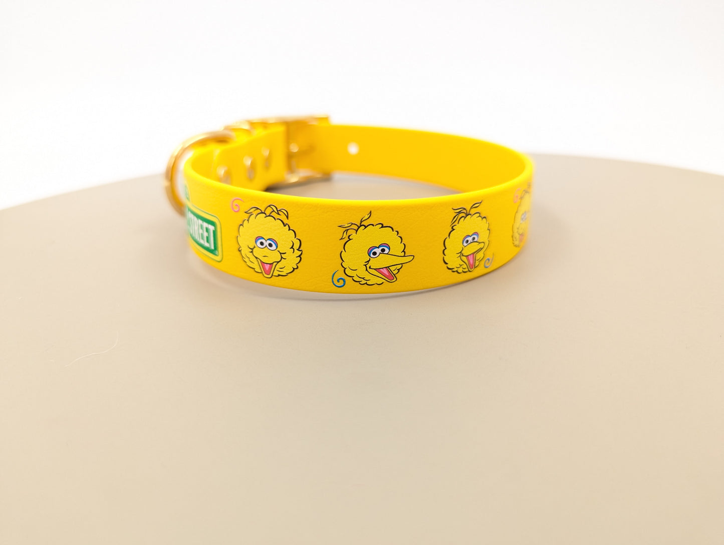 A UV printed biothane dog collar sesame Street big bird