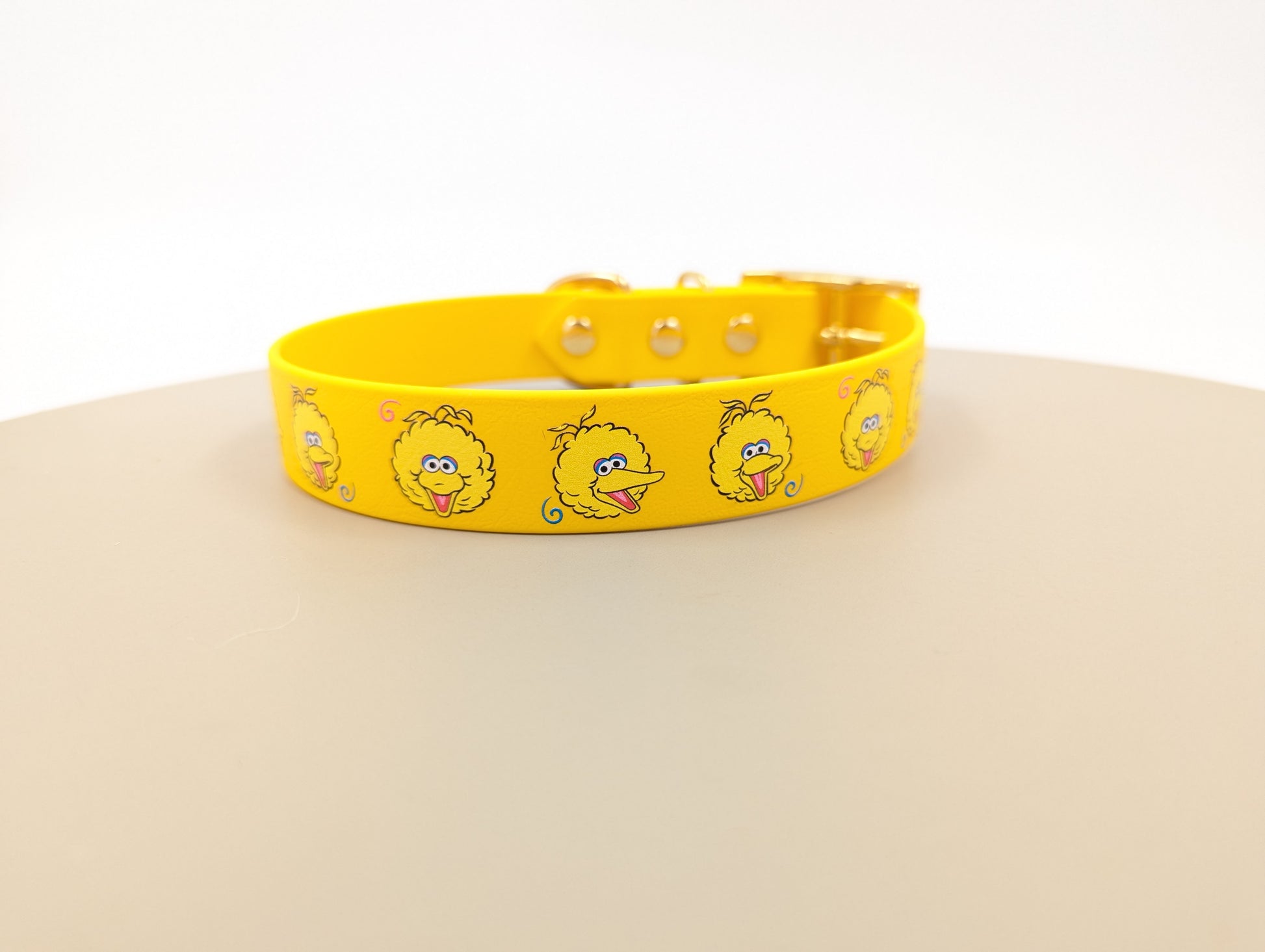 A UV printed biothane collar dog sesame Street big bird