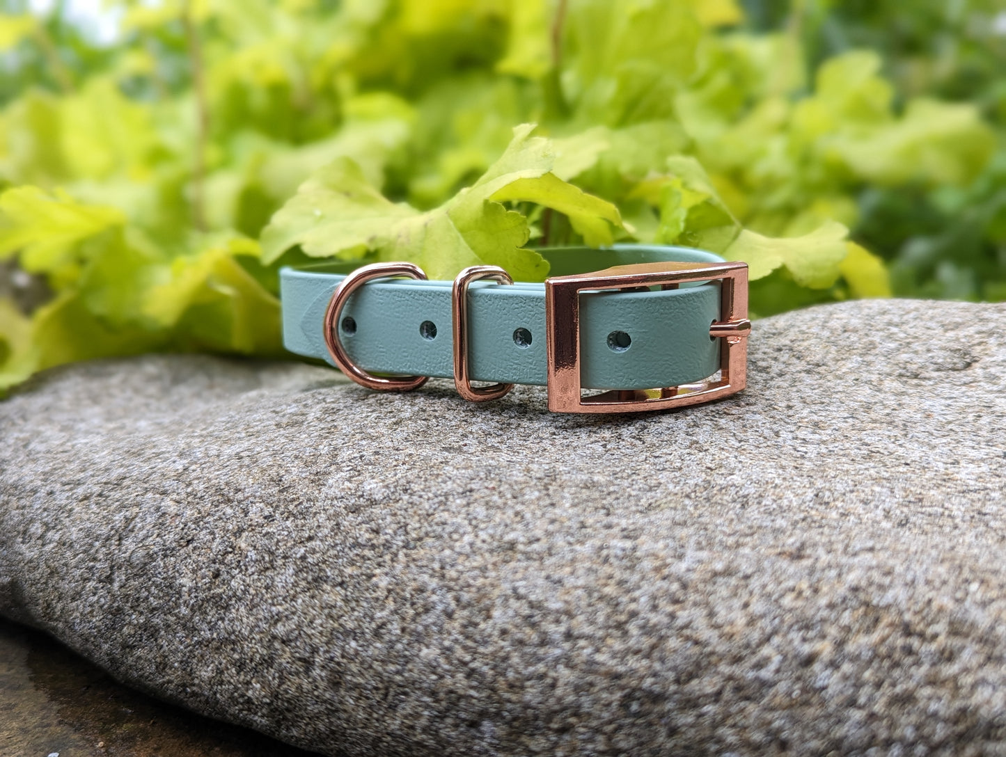 Biothane dog collar made in Ireland
