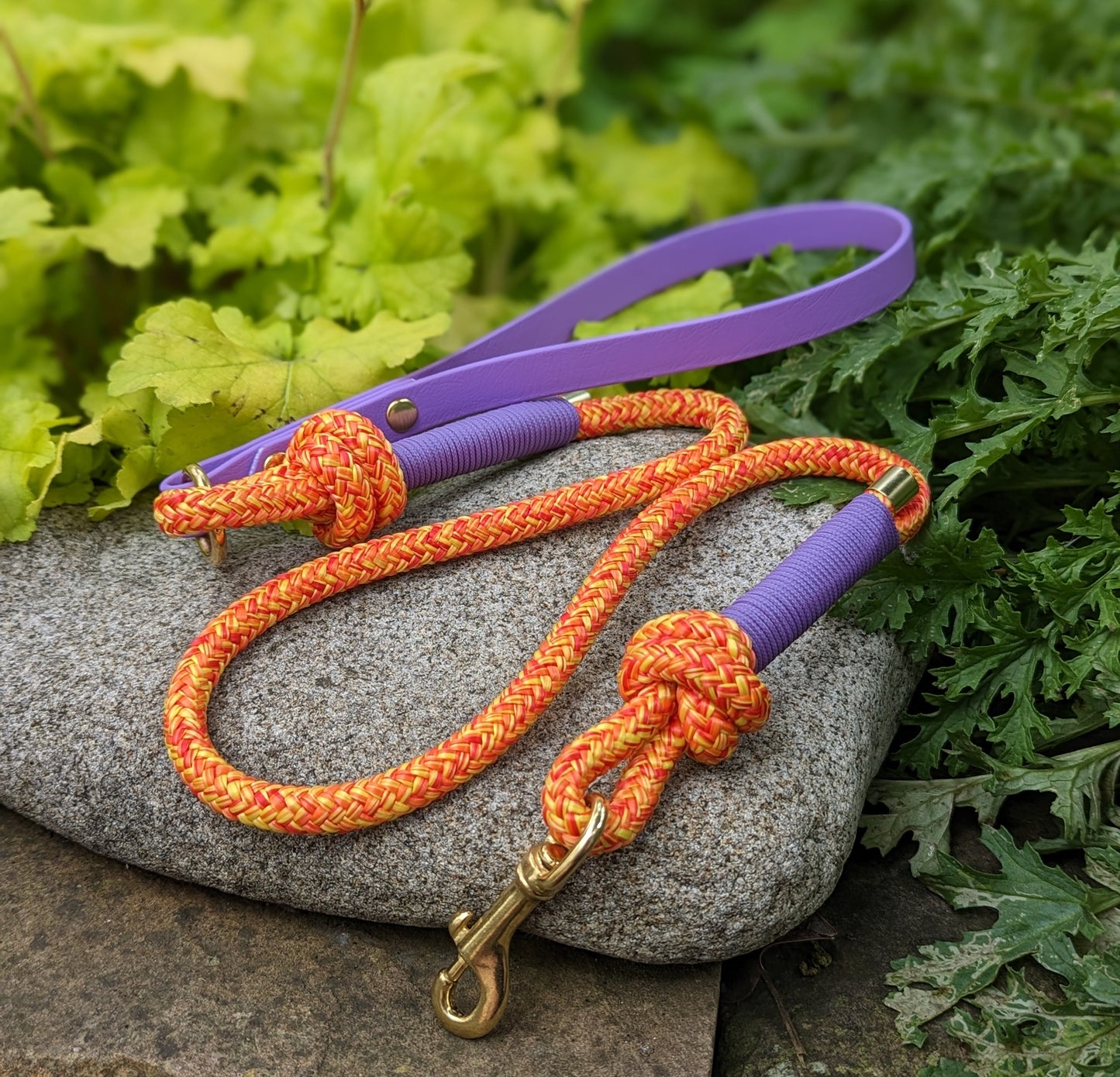 Dog lead in rope and BioThane handmade in Ireland