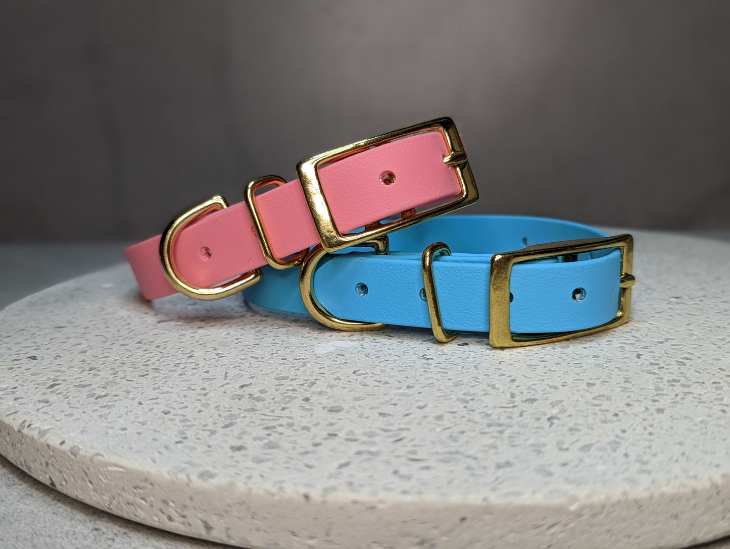 Biothane dog collar made in Ireland