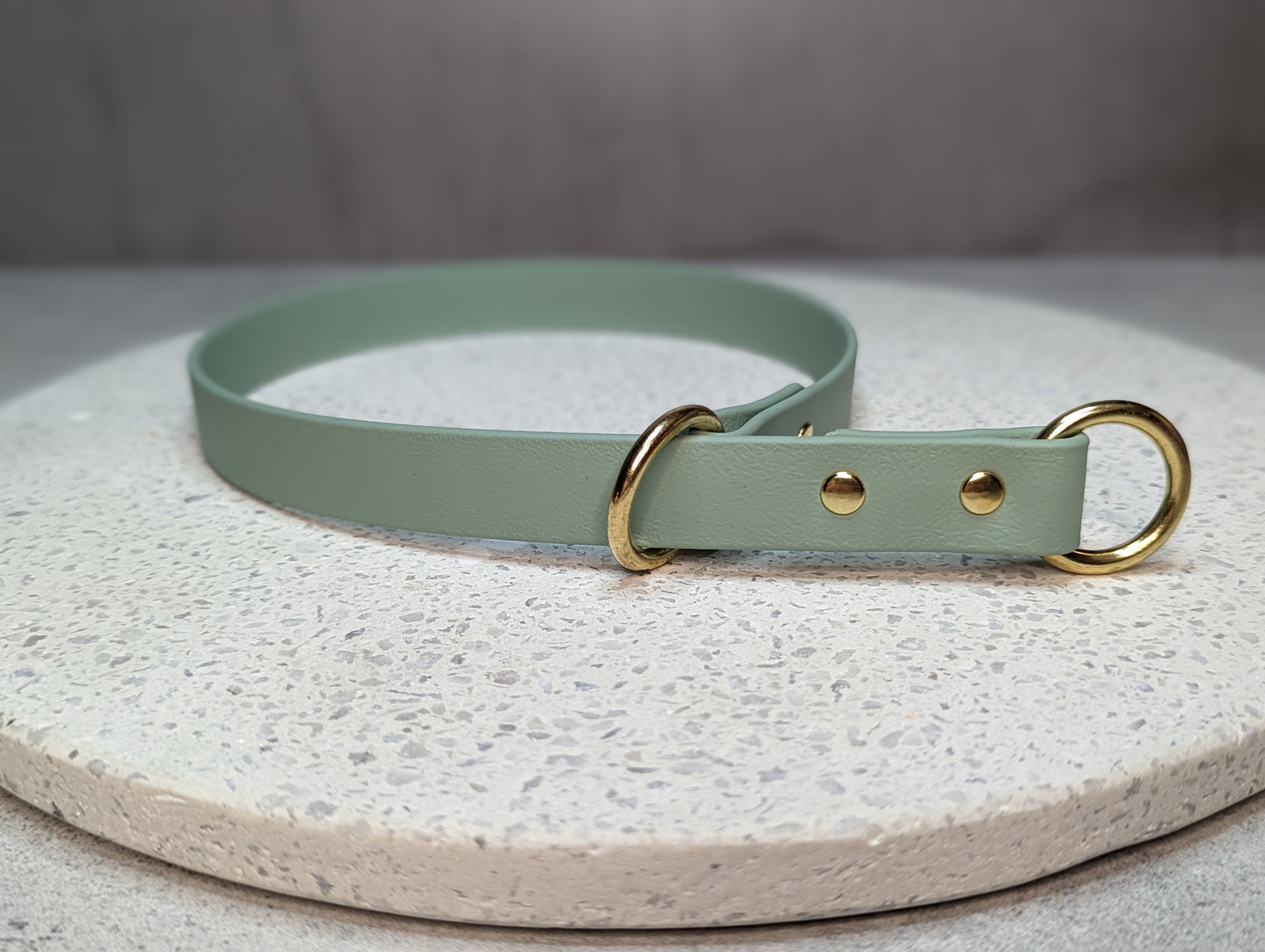Biothane dog collar made in Ireland