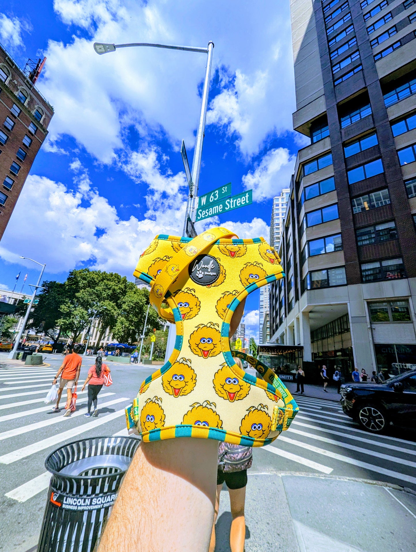 Big Bird yellow Sesame Street x Woodle official dog harness