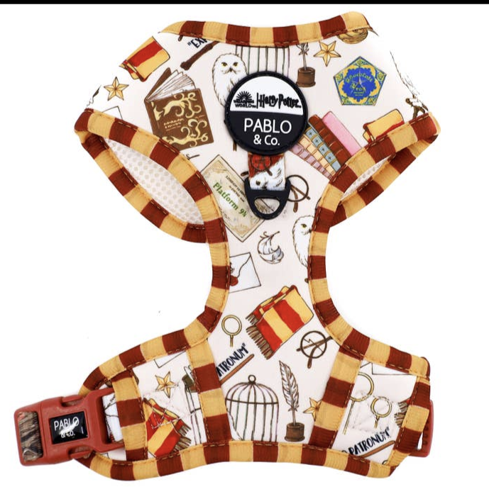 Harry Potter harness