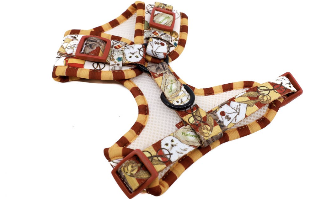 Harry Potter harness