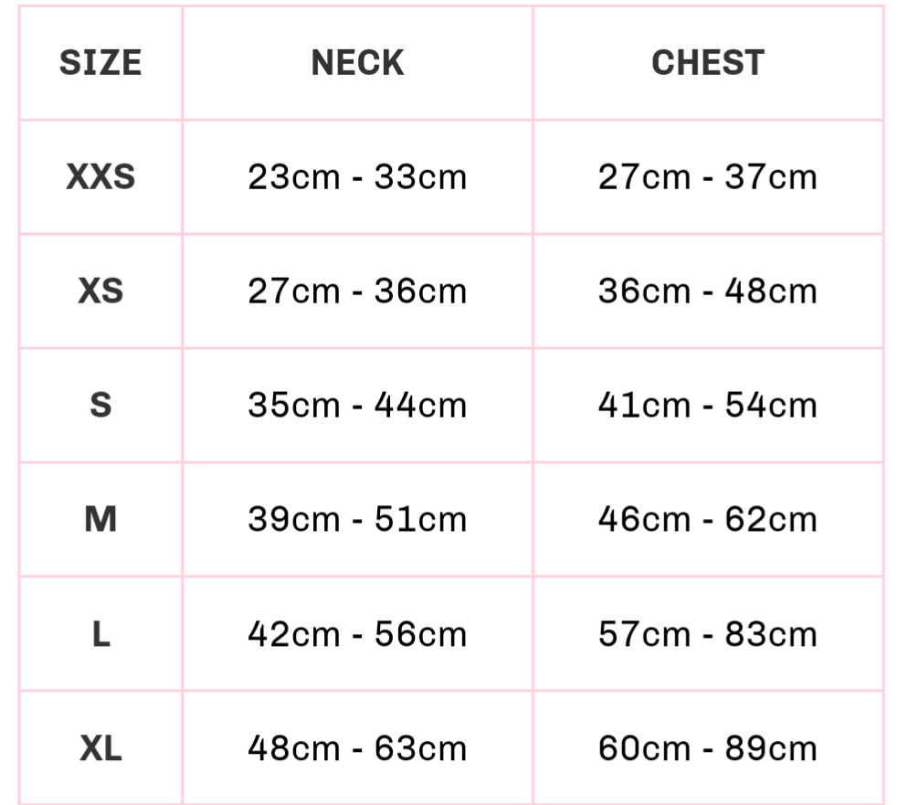 Harry Potter harness