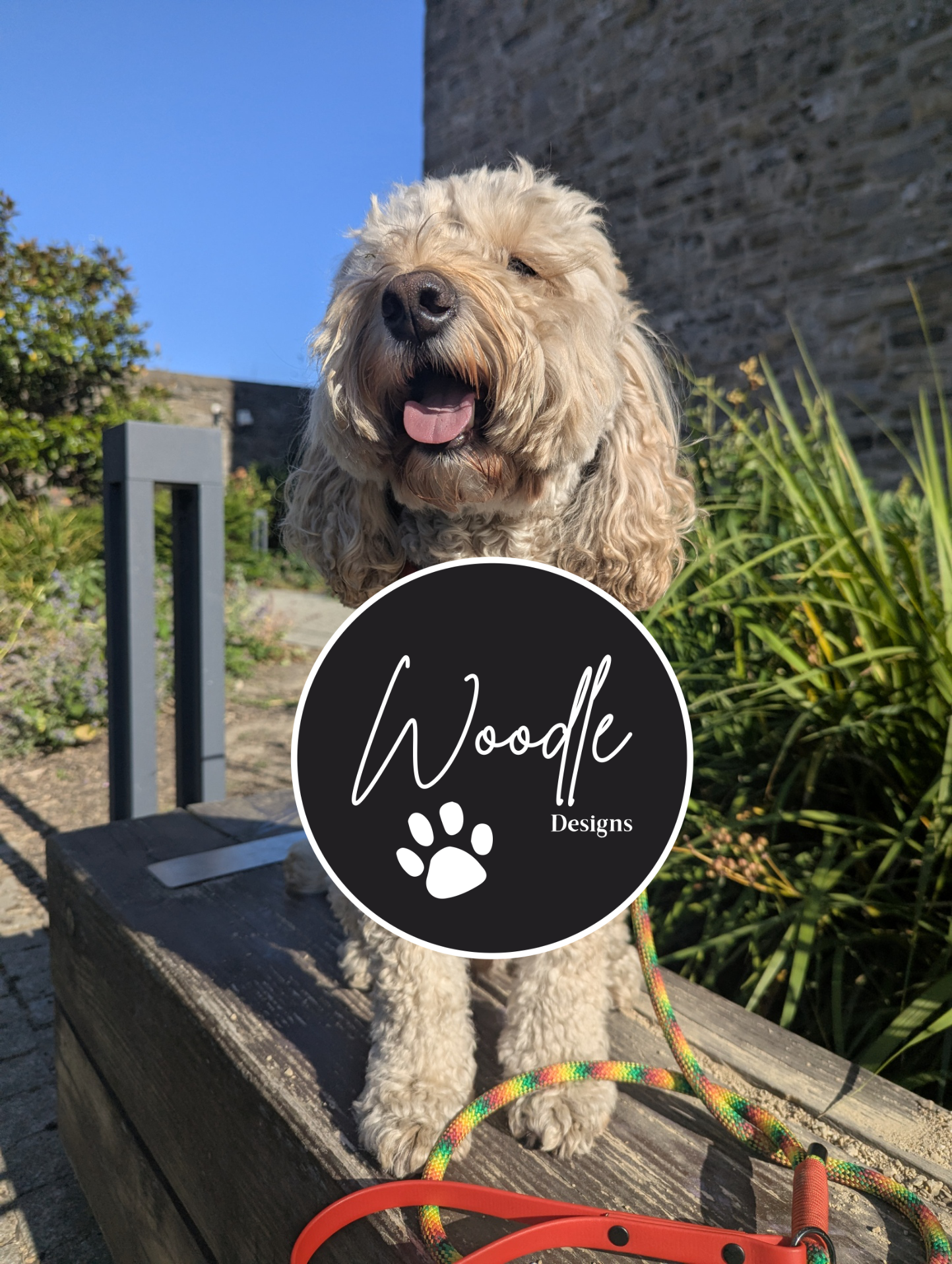 Pixel Pawty Adjustable Dog Harness | Woodle Designs Ireland & Worldwide