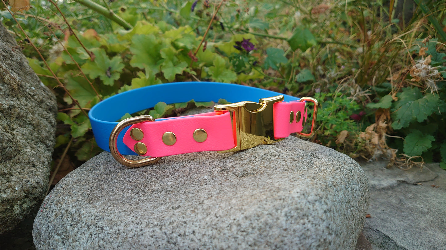 Biothane dog collar made in Ireland