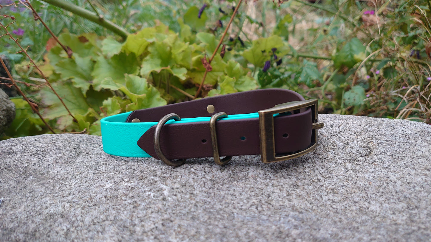 Biothane dog collar made in Ireland