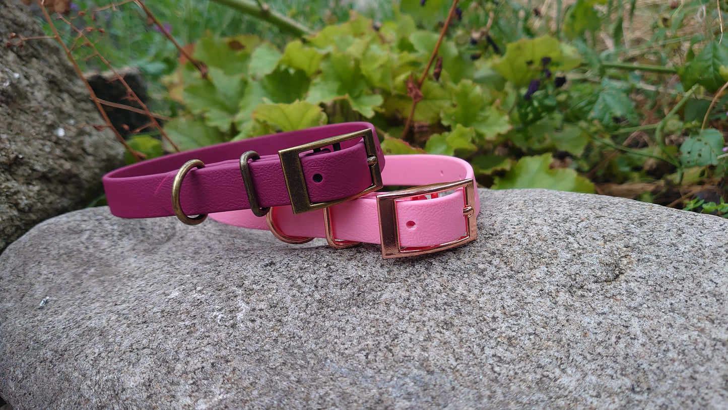 Biothane dog collar made in Ireland