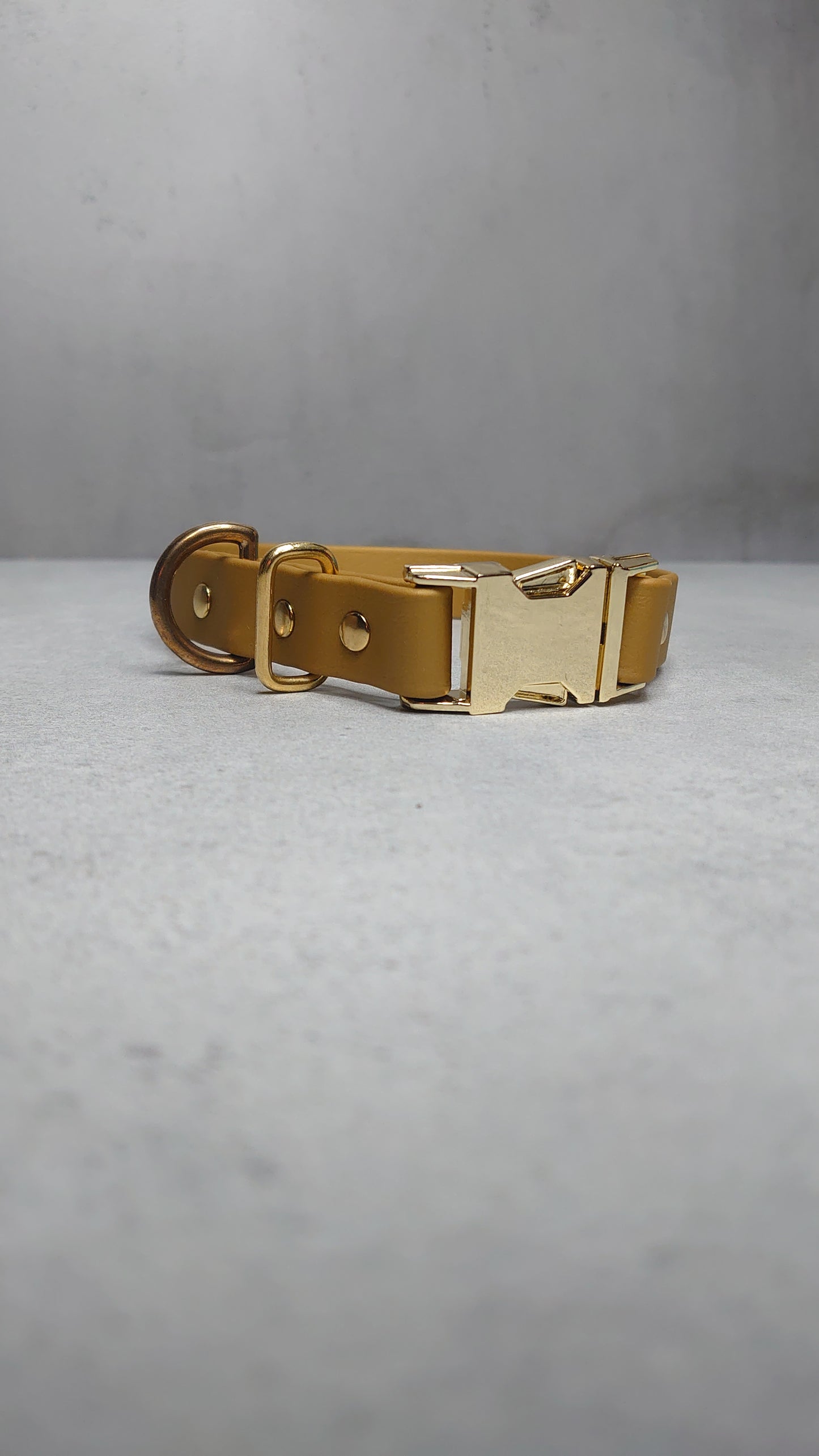 Biothane dog collar made in Ireland