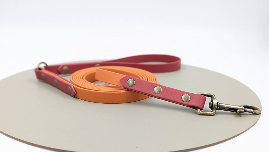 What is BioThane and why is it used for dog gear?