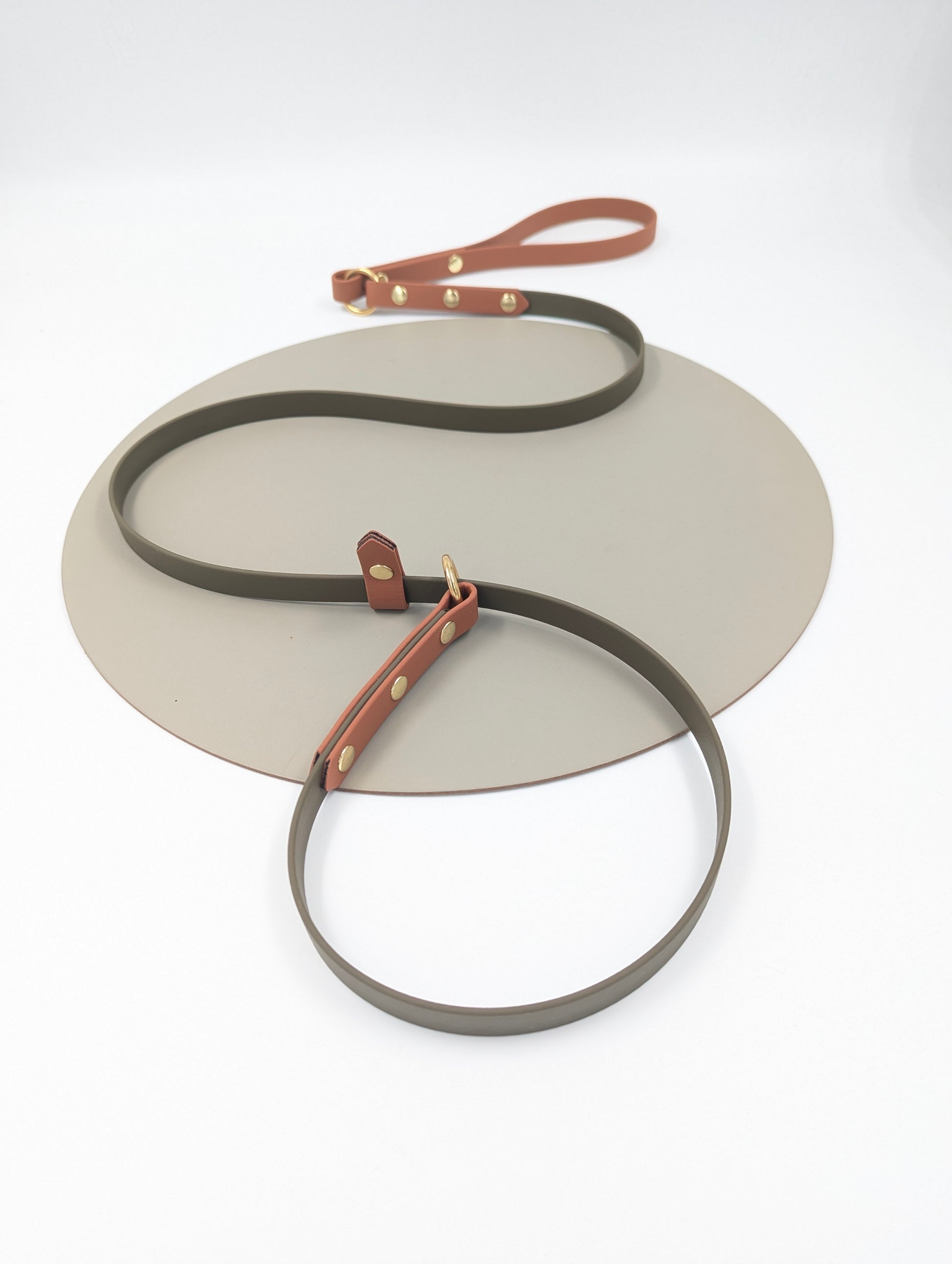 BioThane slip lead for dogs handmade in ireland worldwide shipping