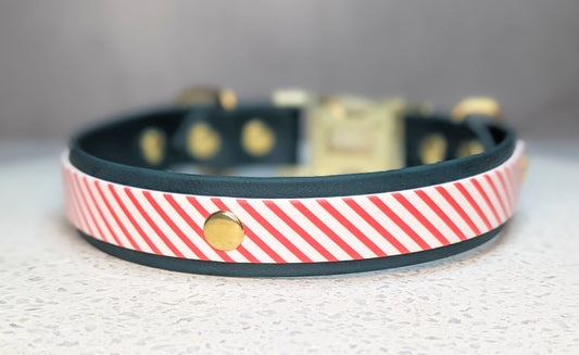 Christmas collars - neck size greater than 42 cm - Design your own