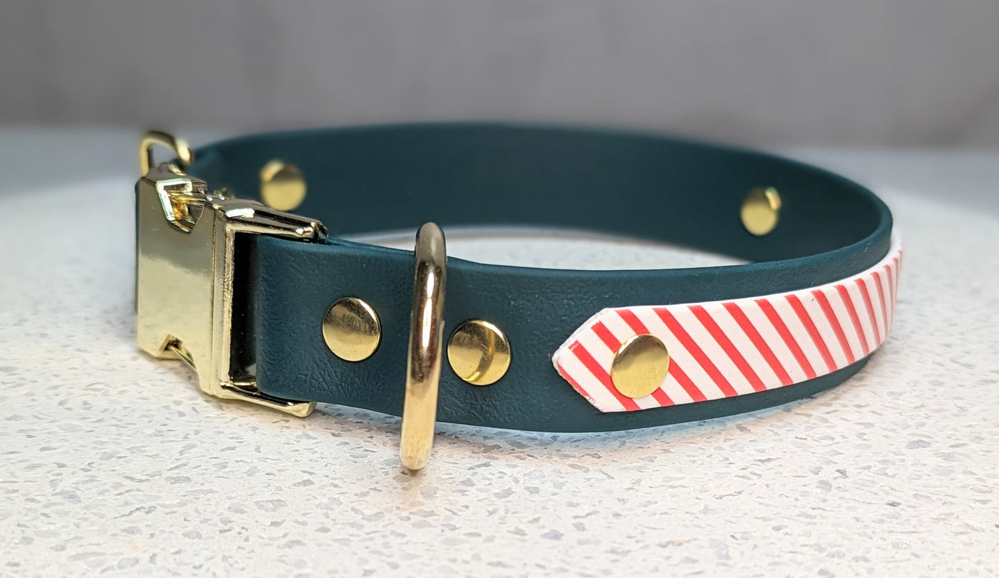 Christmas collars - neck size greater than 42 cm - Design your own