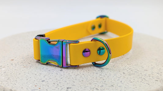 Biothane collar with quick release buckle - Design your own